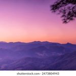 人与狍毛片 1mefz