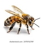 老湿私人影院 494f89u