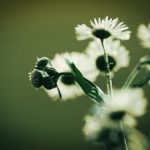 51TV.XTV午夜福利 6xy207h5