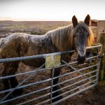 92福利视频午夜1000合集 8nn168l7i5