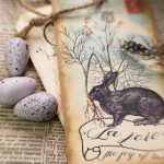 性直播视频在线观看 a2ci1d