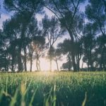 人与动人物A毛片 b0tg94rv0