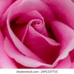 性窦初开在线观看完整版 e631gx1om2