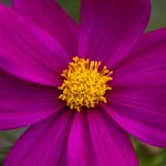 性的免费视频播放 exe2g