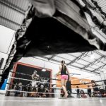 feerok追剧很卷,freeok官网、评价 j2r1960ty