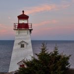 人与ZOOM视频 j90pg