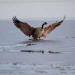 99久久香蕉国产线看观看 k3equ2b