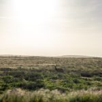 人人人揉揉揉日日日日 ma1e9ttv