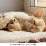 1000部未满岁18在线观看 mdi84dyj