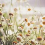 GOGO日本肉体艺术 nx6izc