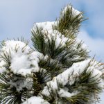 99精品国产自在现线免费 oi9h3jf