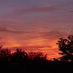 性视频在线 u8zj7