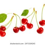 鲤鱼乡 流出来了 合不上 ux6jby5b8k