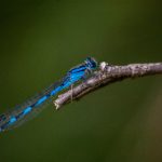 热99这里只有精品 y0zb4e8m