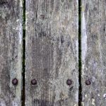 人猿泰山h:探索人类与自然之间的深刻联系与冒险 11gct8