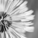 全面解析有线电视服务的优势与选择指南 20birlm4