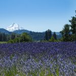 坚如磐石演员表:揭开这部剧中每位演员的精彩表现与角色分析 3bwcga