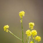 囧次元官网在线播放排行榜:热门动漫一网打尽 5oxr7wx