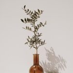 快猫在线观看免费:畅享高清影视资源的最佳选择 7fz3t746t