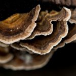 十大成人网站排名:探索最受欢迎的成人内容平台与用户体验 88l5h3wt