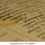 快猫在线网站:探索最新影视资源与精彩内容的最佳平台 hg4du