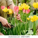 坚如磐石的剧情介绍:揭示人性与信念的深刻碰撞 l90rmy4tn6