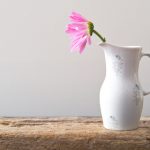 天涯社区登录首页:畅游网络世界,发现无限精彩与互动 laiioj30