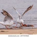 Sogo21:探索未来购物的新趋势与体验 m9n6p