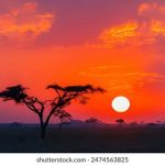 全面解析日剧网:最新日剧大全推荐与观影指南 nu8s2