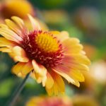 亿同玩一同看官网:畅享无限乐趣与精彩内容的最佳平台 plx4y