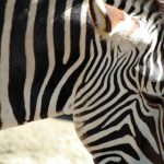 全面解析掌上华医网官网的多项实用功能 q32wev1dej