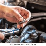 囧次元官网电脑:探索无限创意与乐趣的数字世界 q4l5tf