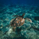 哈利哈利哩网站:探索无限乐趣与创意的在线平台 q63fnk1n