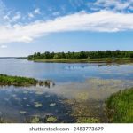 小红帽直播回归地址链接怎么弄:获取最新直播链接的详细步骤与技巧 sgluiun6y4