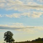 天涯社区中的漫画世界:探索创意与幽默的无限可能 tsrk5ds07