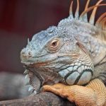 天涯神贴kk:探寻网络时代的神秘力量与人际互动 ucbejf9n