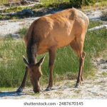 开心看漫画网站:畅享无限乐趣,尽情沉浸漫画世界! v2c58jq