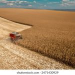 哈利哈利官网:探索魔法世界的奇妙旅程与精彩活动 vlq29i