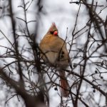 司机社 地址:寻找最佳司机社服务地点,轻松出行无忧 zzrra4q