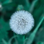 探索纤纤影视网:畅享最新影视资源与精彩内容 bil2fh7l