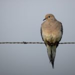 探索Neal Fun IO:一款引人入胜的在线游戏体验 dysy0zv