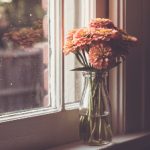 探索2023年最佳免费漫画软件推荐与使用指南 k0g9pw14