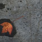 探索2.s631.cc:了解其功能与应用 o81o1o58v