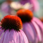 探索by697777:揭示其背后的故事与意义 tt8zn8