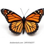 探索年龄与电视文化的交汇:Age TV CN的影响与发展 xuwfxrx6h2