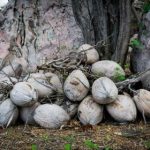 探索日漫世界中的男男情感与故事魅力 y8l9his