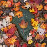 探索海外影院:全球电影文化的独特魅力 yx7zc38z6